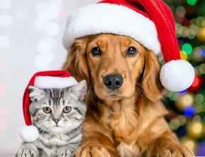 Picture for category Happy Holidays